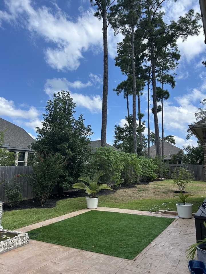 322 Fan Palm Ct #NA - Photo 5 of 34