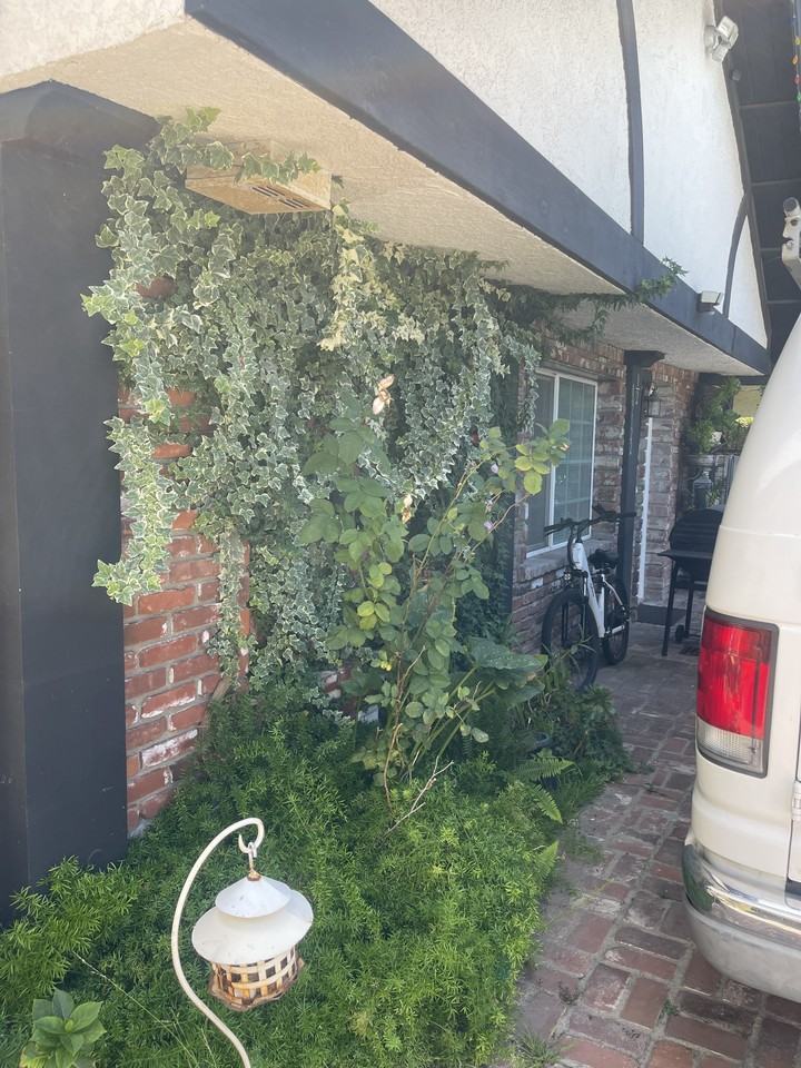 19122 Clymer Street #NA - Photo 5 of 20