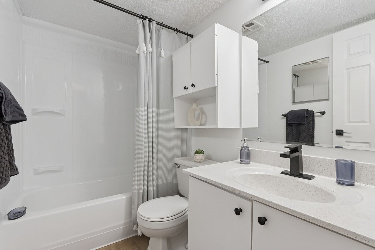 ReNew on Lindbergh - Photo 7 of 50