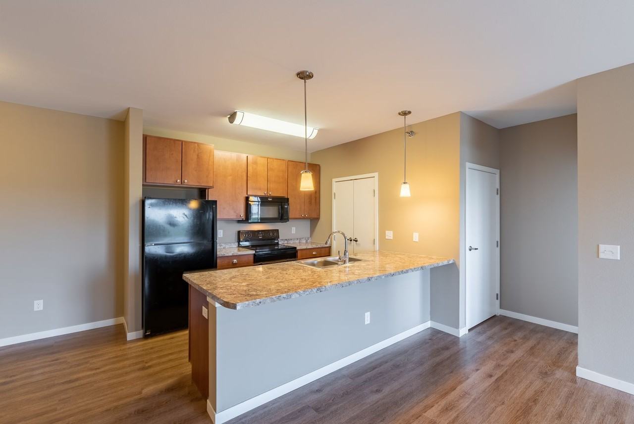 Sonata - Photo 5 of 43