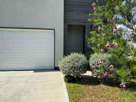 featured image of 216 Deer Path Loop