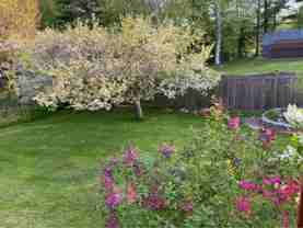 284 Dalton Division Rd - Photo 1 of 1