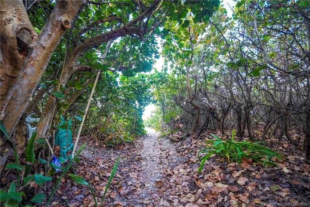 1446 Wyn Cove Dr - Photo 5 of 50