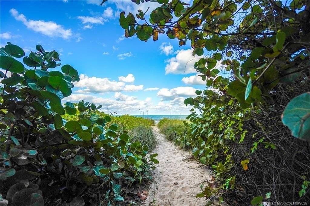 1446 Wyn Cove Dr - Photo 6 of 50