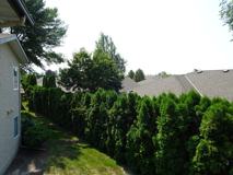 735 Cook Rd #208B - Photo 1 of 1