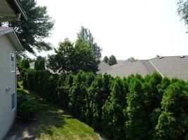 featured image of 735 Cook Rd #208B