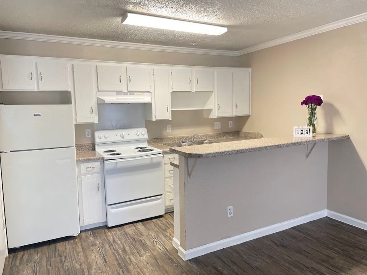 Spanish Vida Apartments - Photo 2 of 25