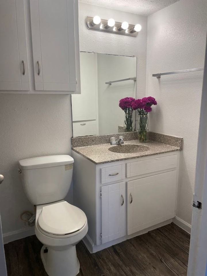 Spanish Vida Apartments - Photo 6 of 25