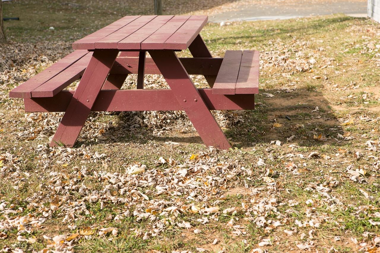 Lansdale Crossing Apartments - Photo 7 of 37