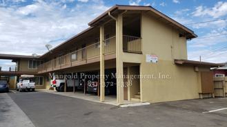 255four - Photo 1 of 1