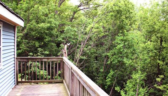 406 Colchester Ave - Photo 3 of 14