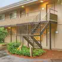 Renovated Apartments at Cedar Lane | Updated Kitchens & LVP Flooring - Photo 1 of 1