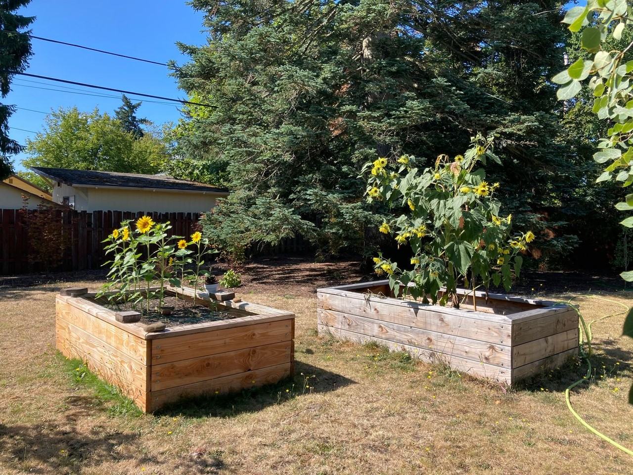 11934 Ne Knott St - Photo 4 of 26