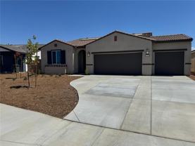 27036 Banjo Street - Photo 1 of 1