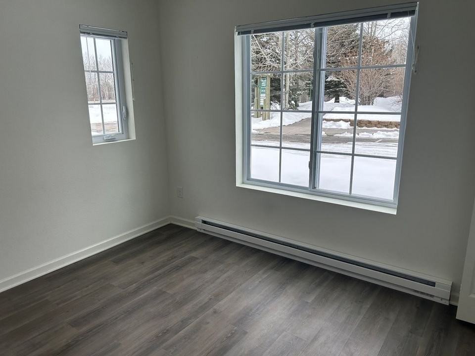 650 Centennial Mountain St #654 - Photo 7 of 11