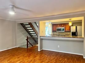 1317 Maple Shade Ln - Photo 1 of 1