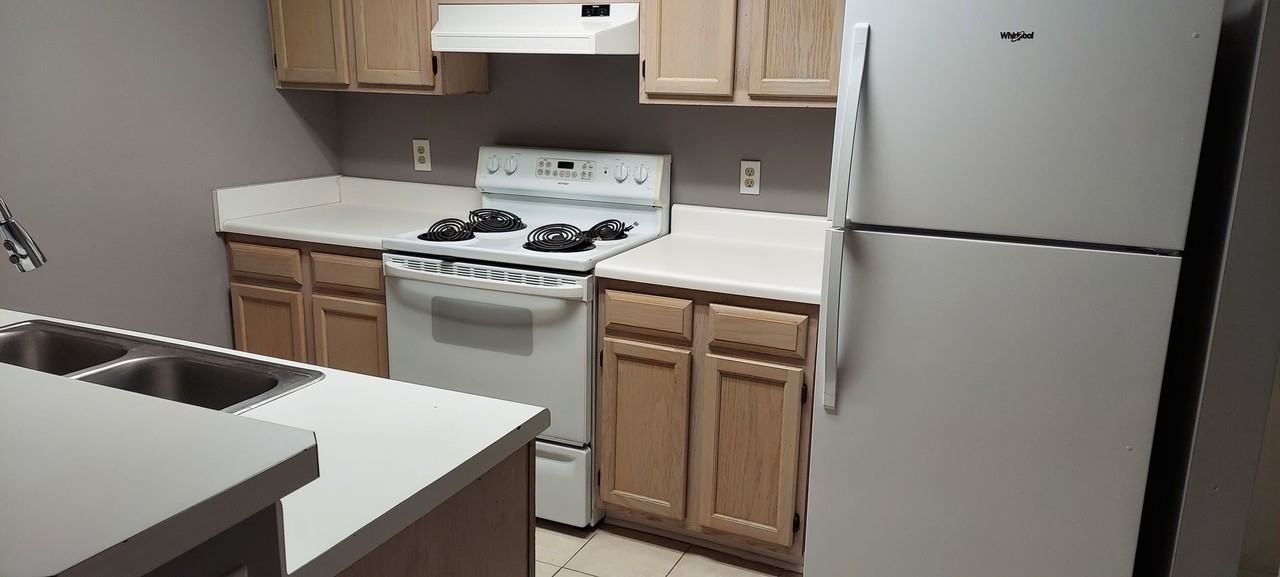 629 Brisa Ct - Photo 6 of 20