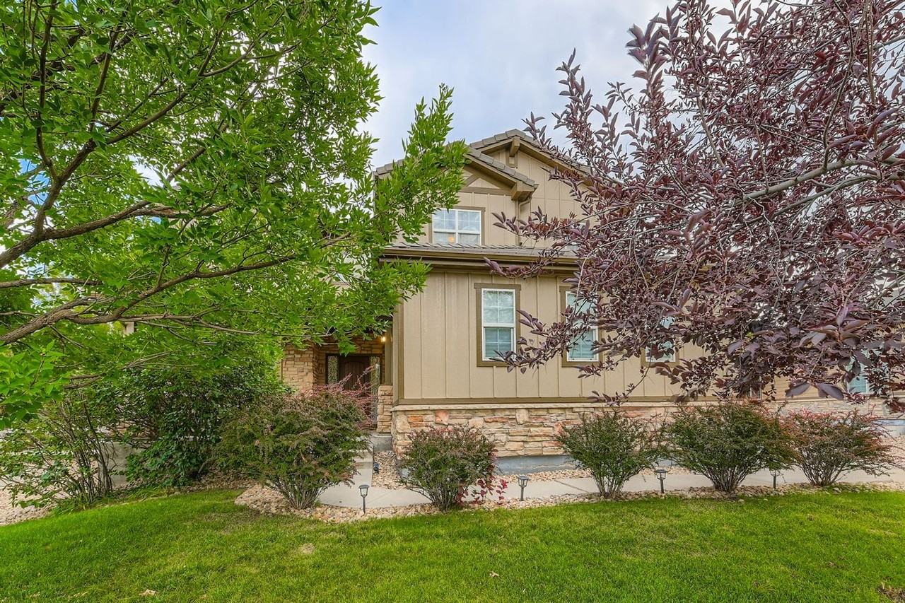 2647 Gray Wolf Loop - Photo 2 of 28