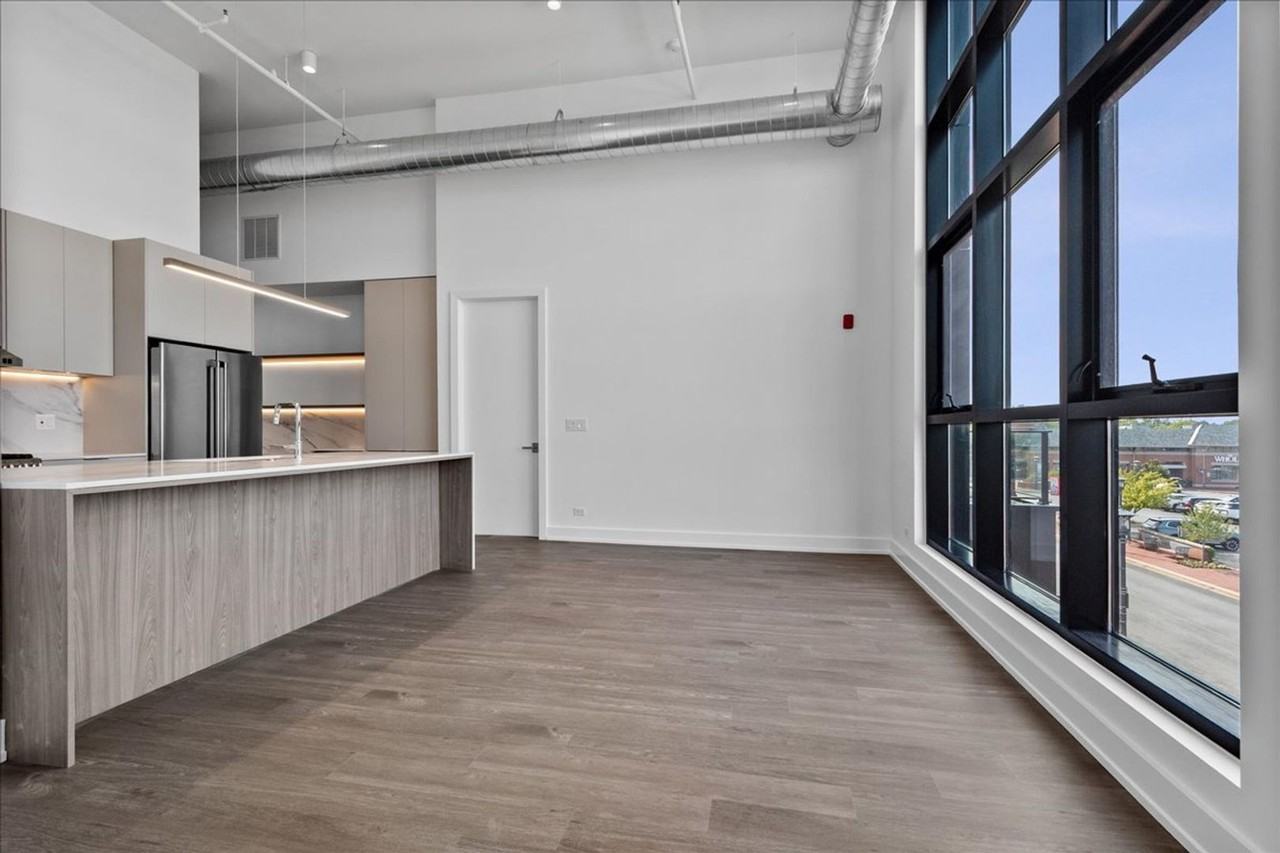 728 Waukegan Rd #209 - Photo 4 of 30