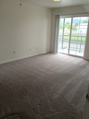 Legacy Village Apartments - Photo 6 of 50