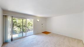 442 Alameda Del Prado #M - Photo 1 of 1