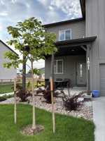 featured image of 1621 Alfalfa Ln #NA