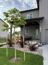1621 Alfalfa Ln #NA - Photo 1 of 1