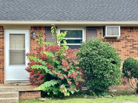 1906 Batts Lane - Photo 1 of 1