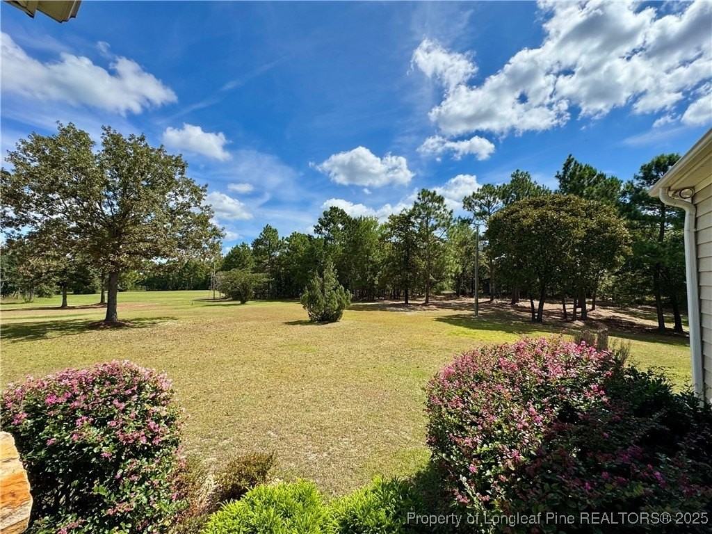 3273 Cameron Hill Road - Photo 6 of 36