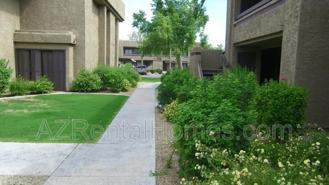 3535 W Tierra Buena Ln #N157 - Photo 1 of 1