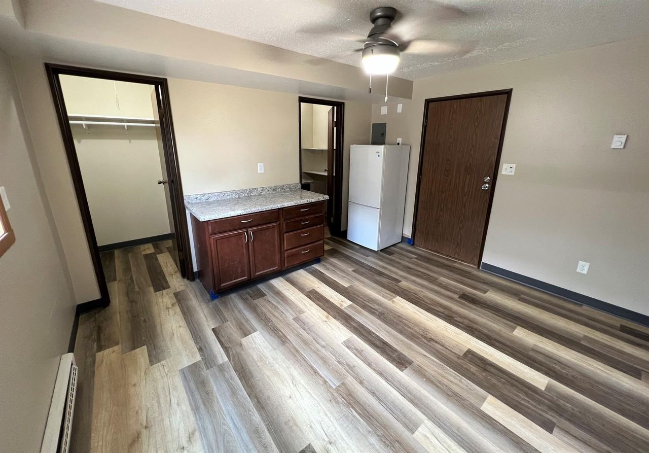 316 S Elm St - 16 PLEX - Photo 3 of 6