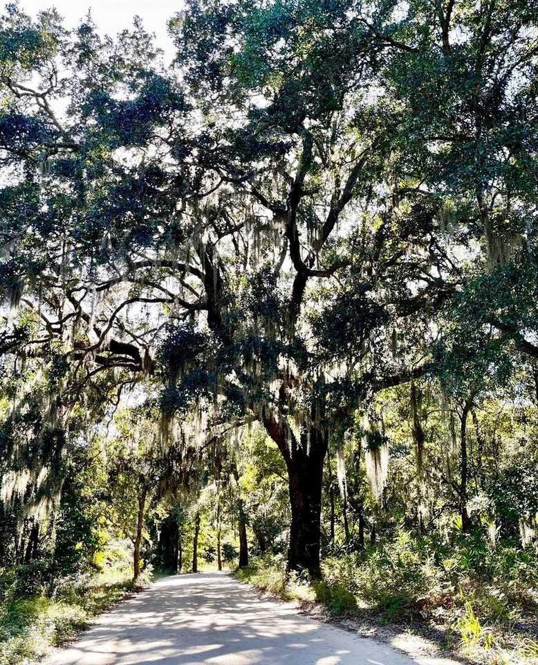 2961 Hut Road - Photo 5 of 24