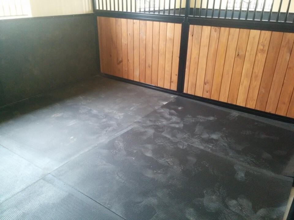 2040 Canter Way - Photo 3 of 41