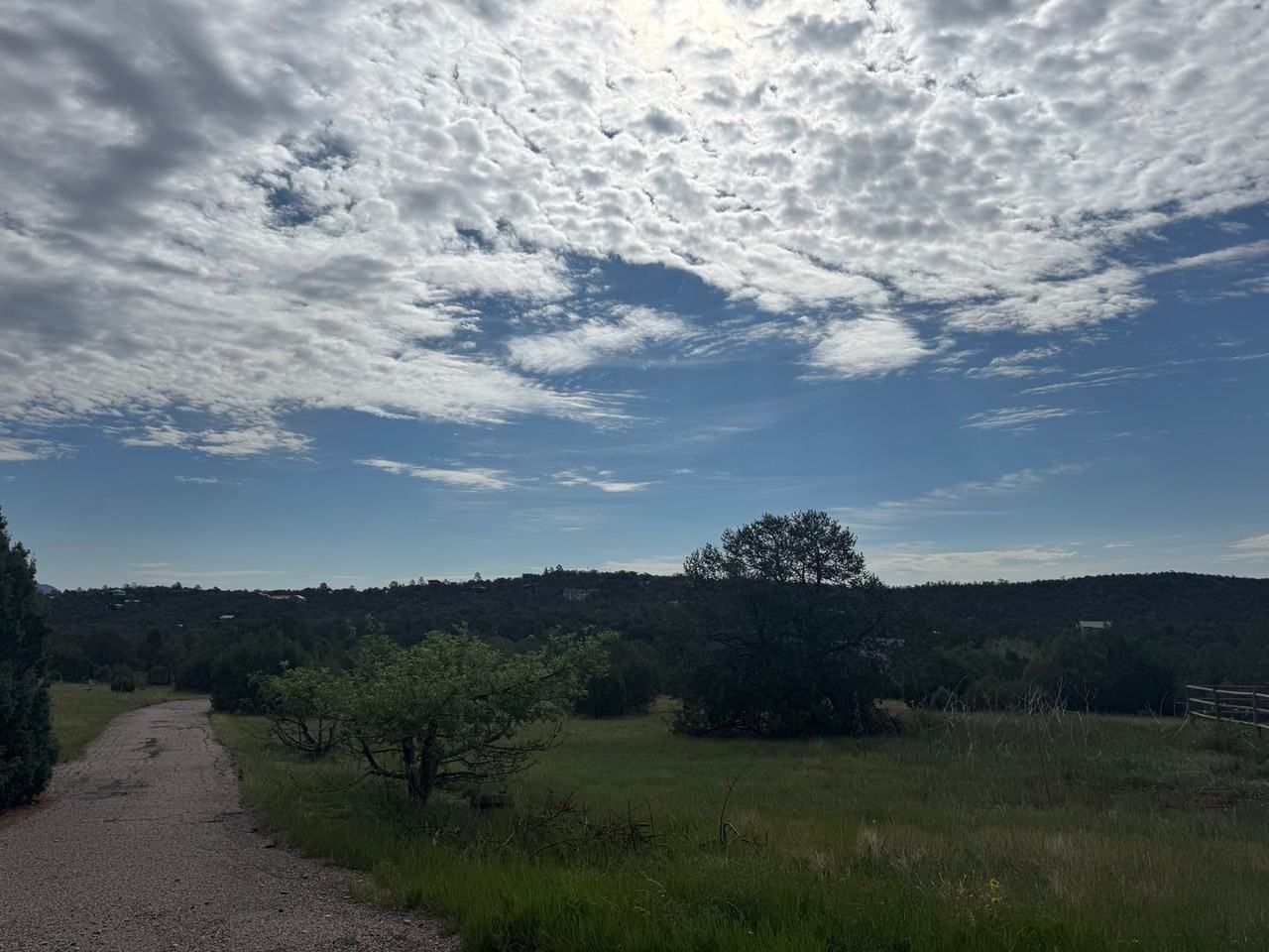 53 Sandia Haven Dr - Photo 2 of 14