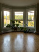 38 West St #1 - Photo 1 of 1
