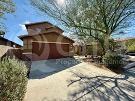 9528 S Desert Fauna Loop - Photo 1 of 1