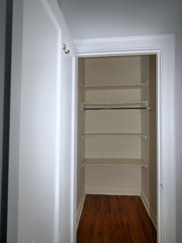 1764 W North Shore Ave ##3 - Photo 3 of 17