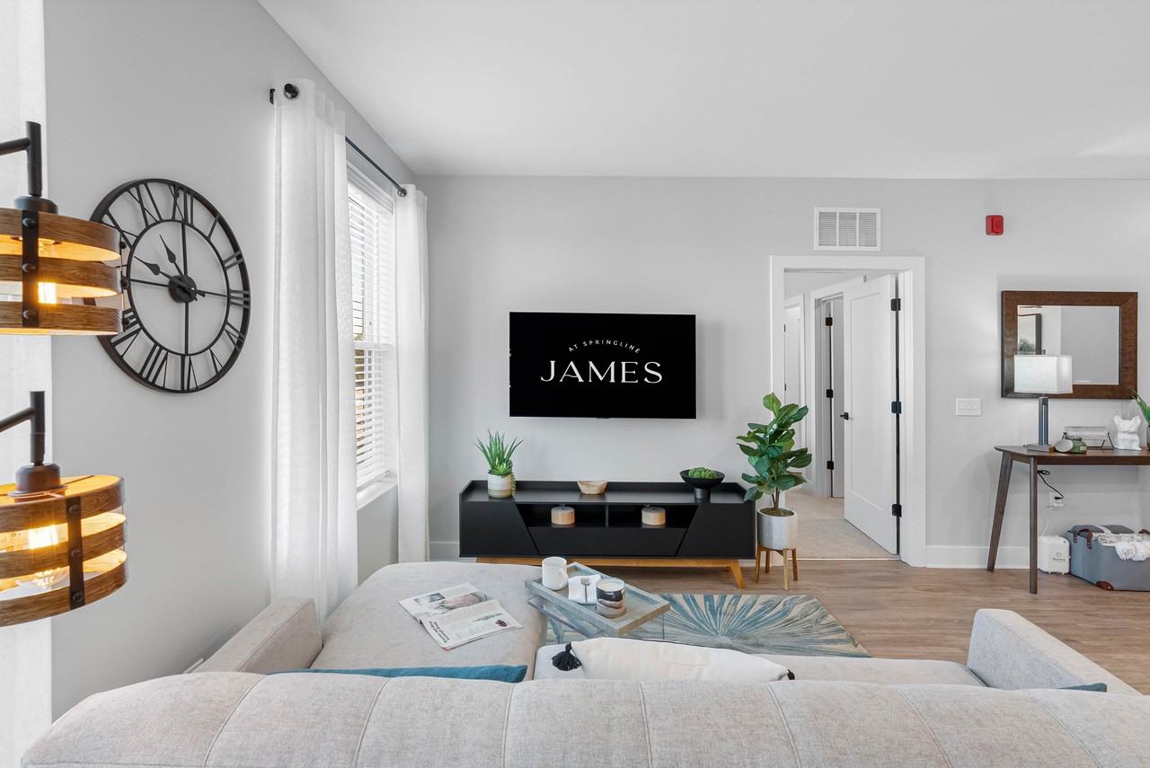 The James at Springline - Photo 2 of 51