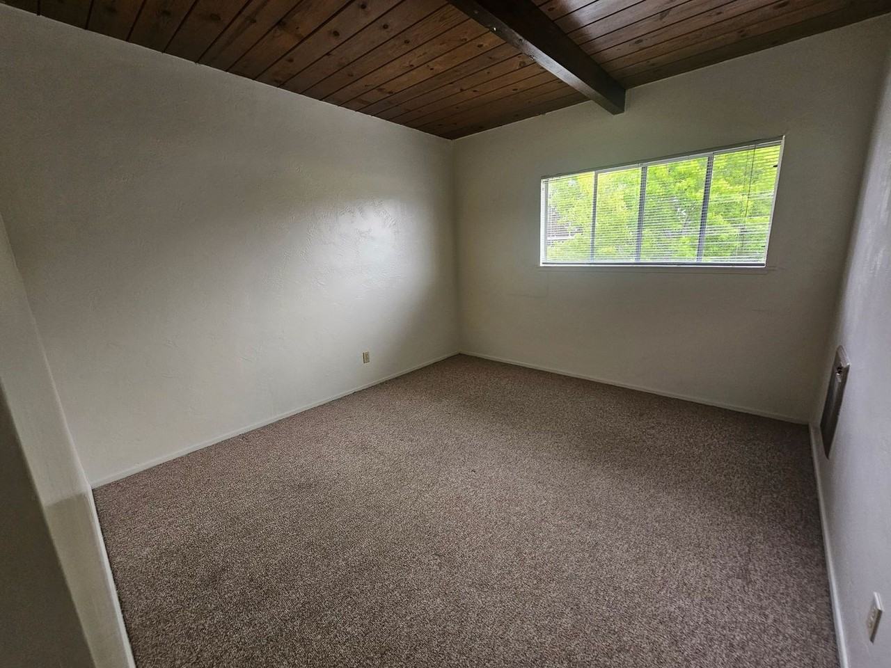 ANBW300 - Photo 5 of 8