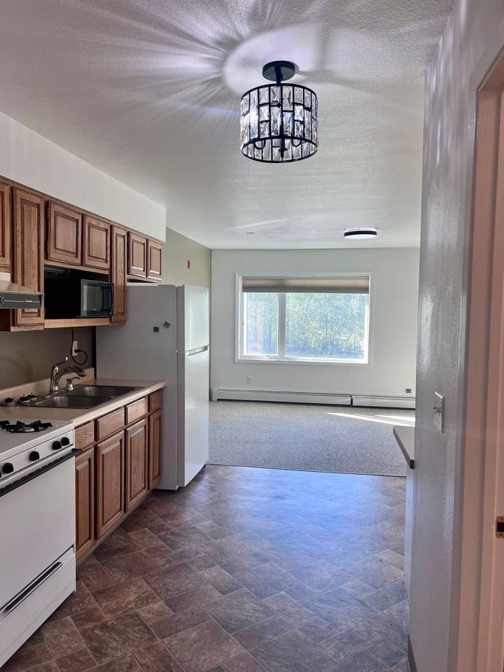 33220 Sterling Hwy - Photo 4 of 13