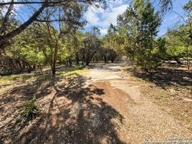 28220 Bonn Mountain St - Photo 1 of 1