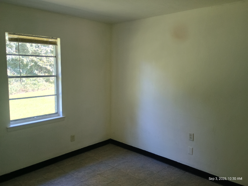 310 Everette St #310 - Photo 2 of 6