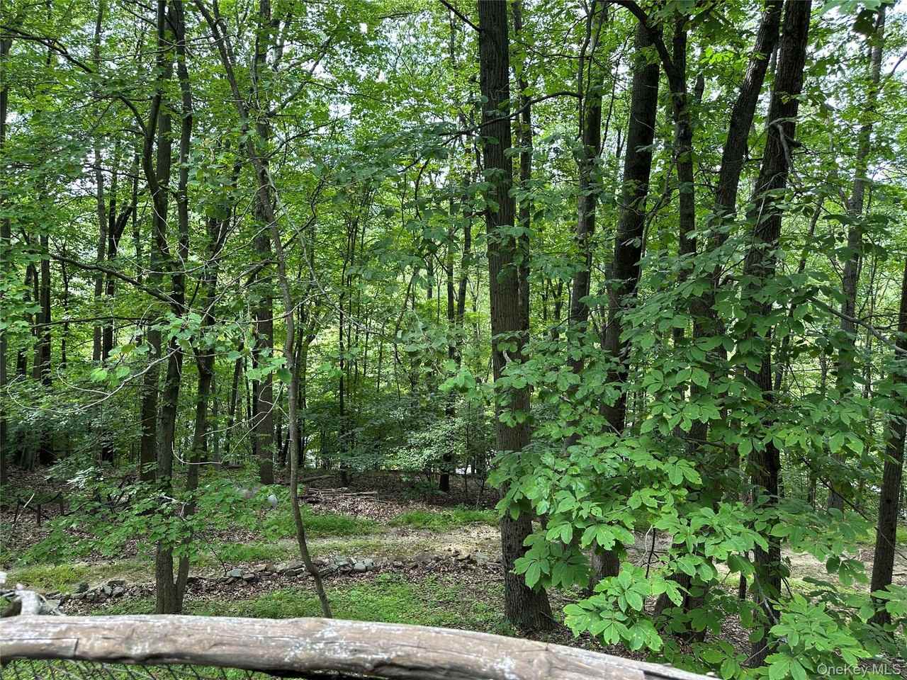 95 Cascade Rd - Photo 3 of 44