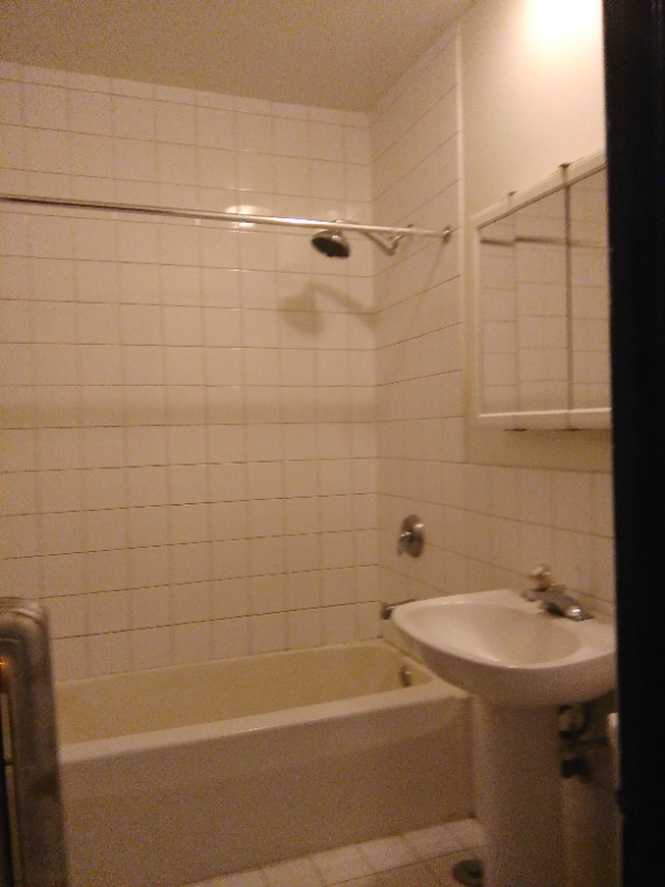 3655 North Racine Avenue #1 - Photo 5 of 10