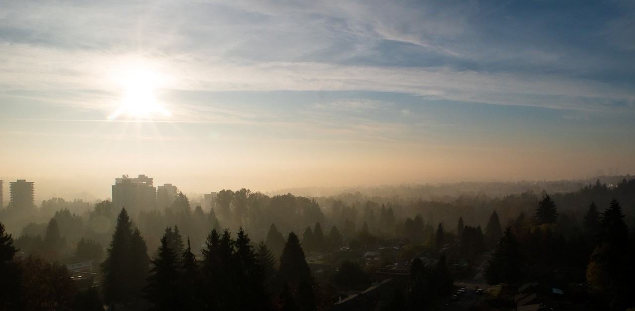 652 Whiting Way #1007 - Photo 4 of 34