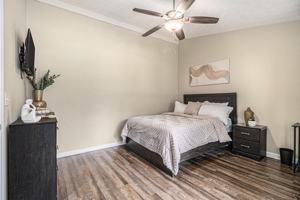 featured image of Tree Line Ter