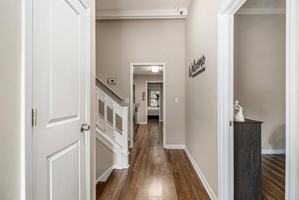 featured image of Tree Line Terrace