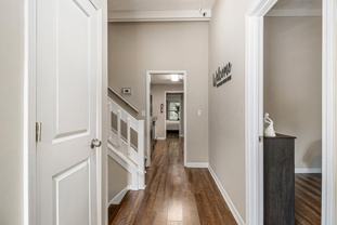 Tree Line Terrace - Photo 1 of 1