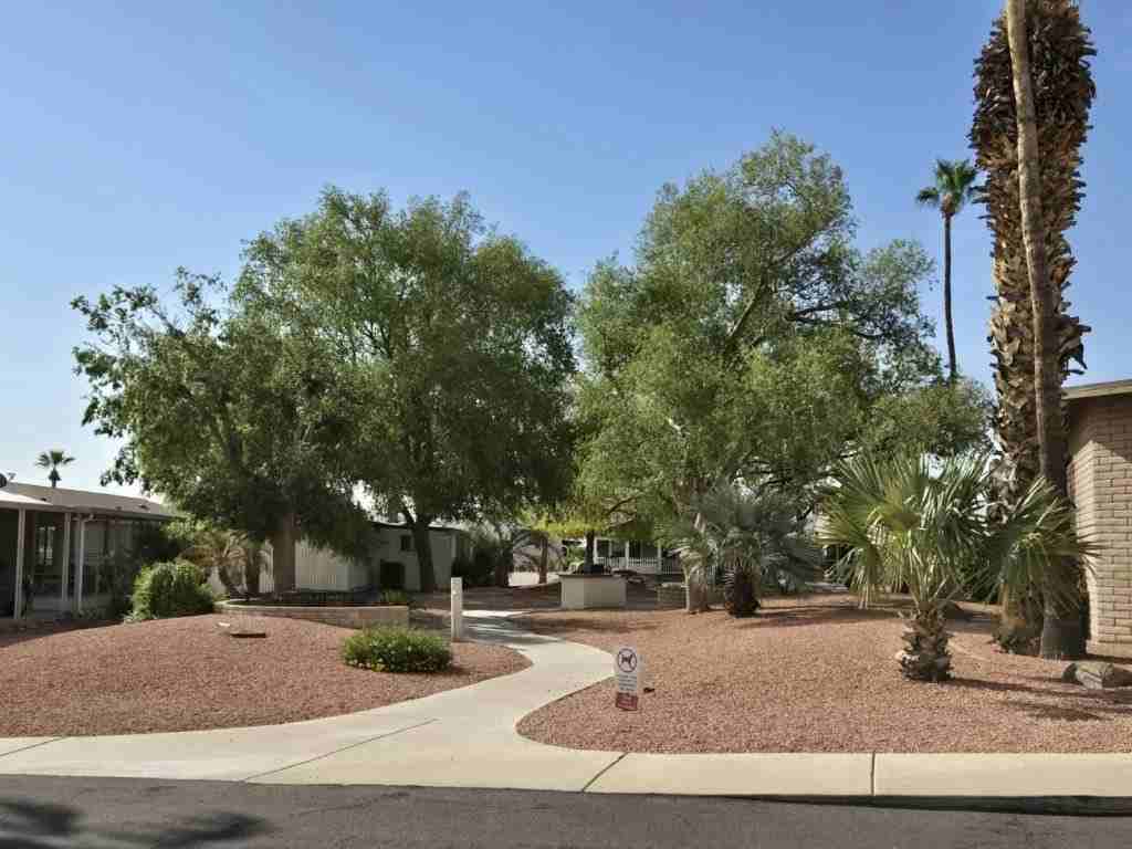 10701 N 99th Ave #0135 - Photo 7 of 7