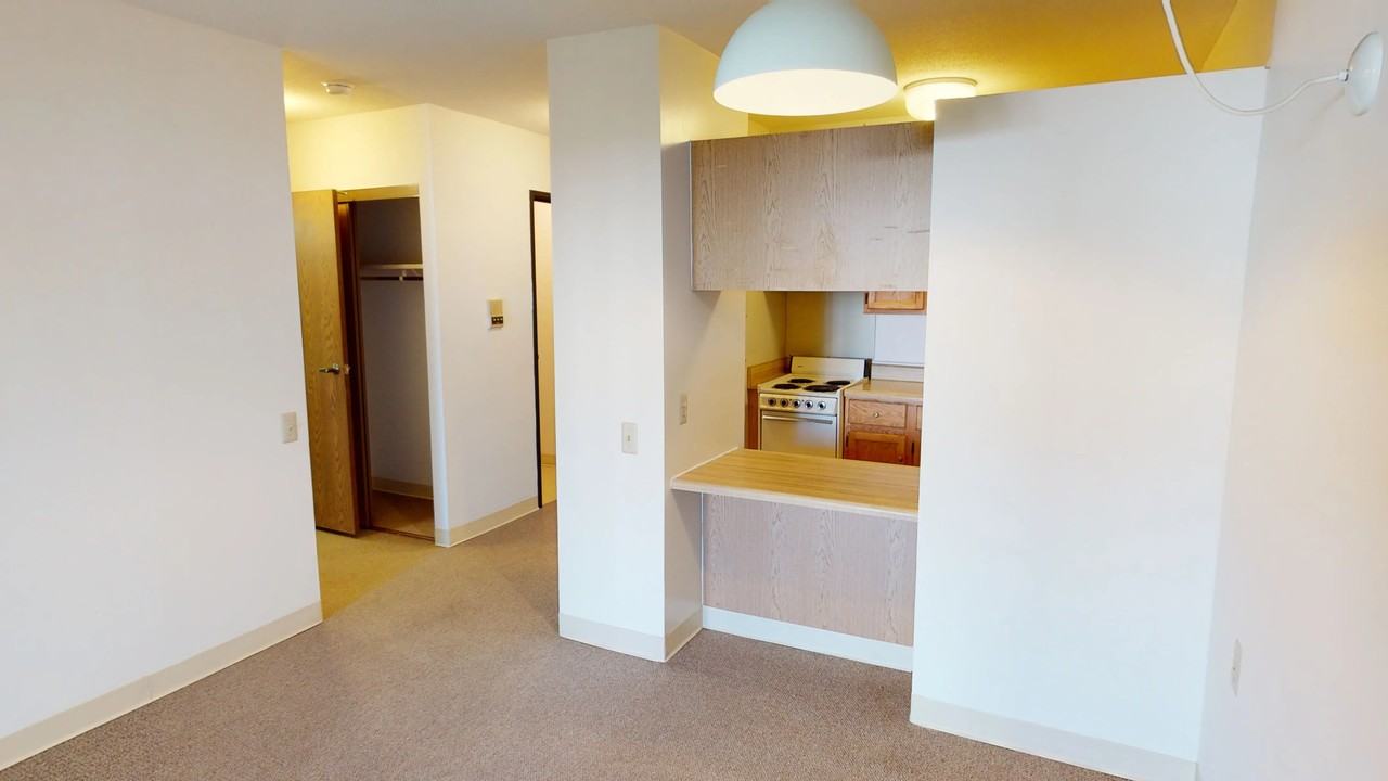 Ukrainian Village - Photo 3 of 40